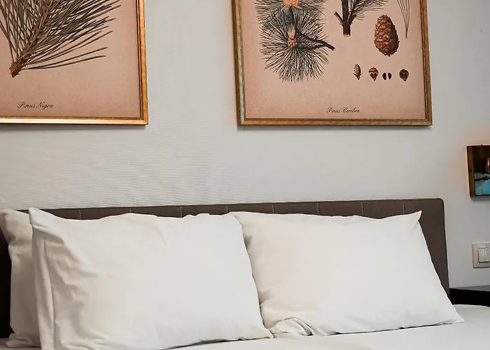 Klub Sosnowy 3* Warszawa