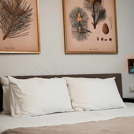 Klub Sosnowy 3* ワルシャワ